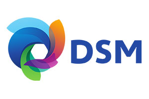 DSM