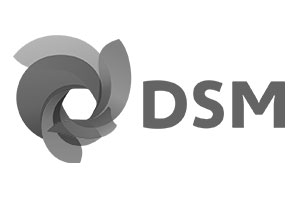 DSM