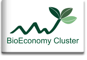 BioEconomy Cluster