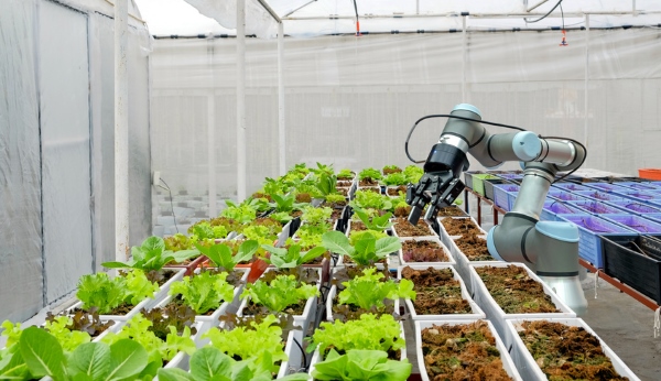 digitale food industrie