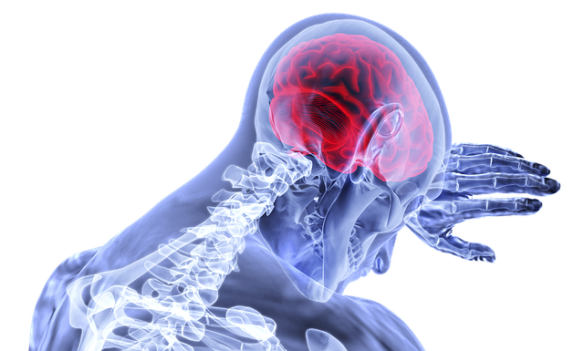 Optimale Therapien durch datengetriebene Entscheidungs- und Unterstützungssysteme