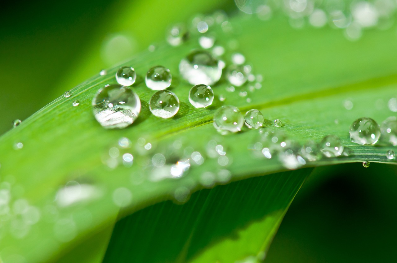 InvestBW 5. Förderaufruf zum Thema Green Tech