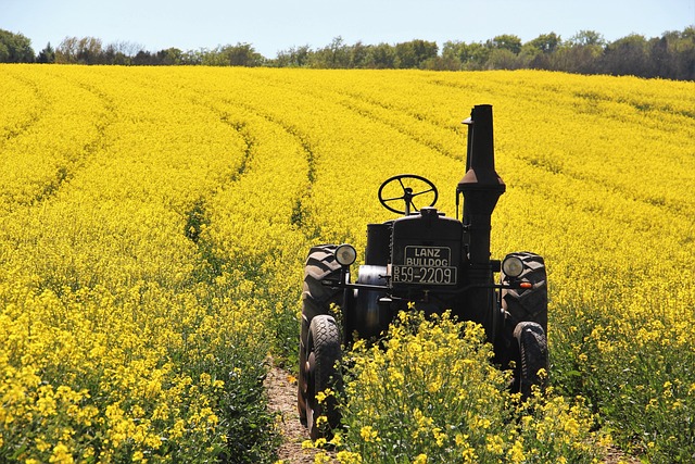 Jetzt FuE-Förderung für Klimaschutz in der Landwirtschaft beantragen