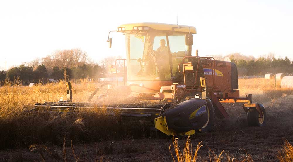 Agroalimentario