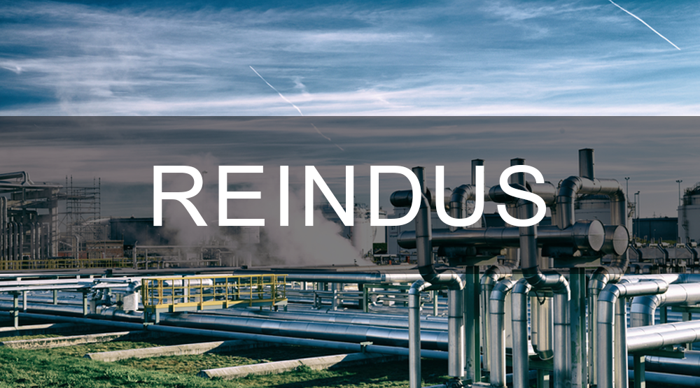 REINDUS