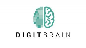 digitbrain pno consultants