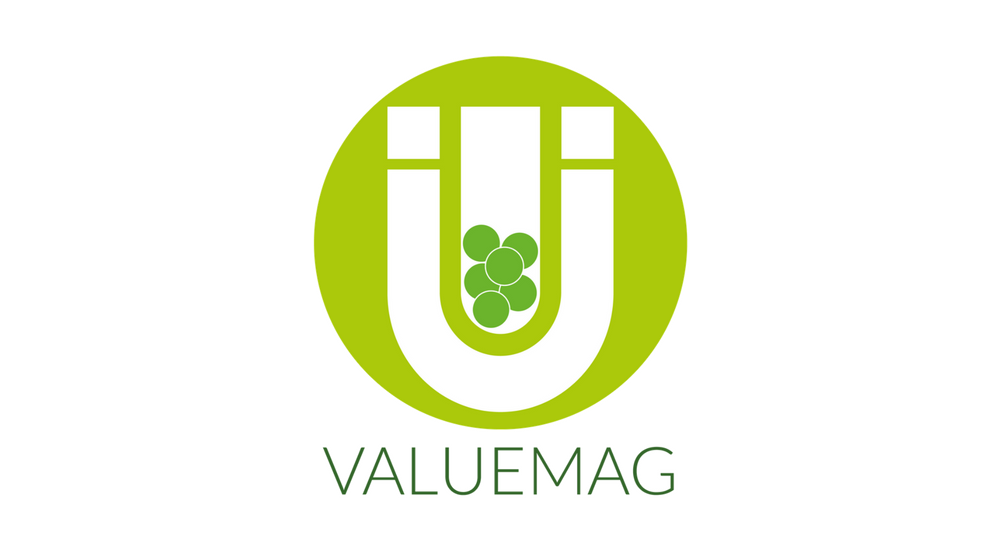 Projet VALUEMAG