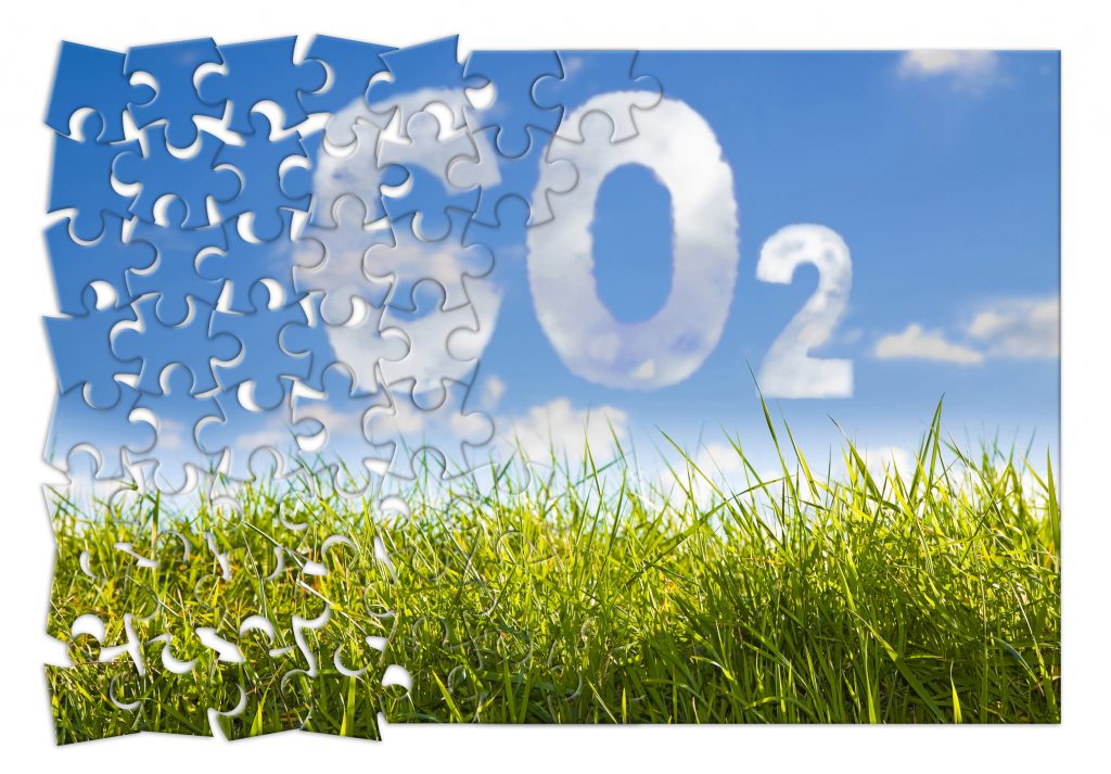 Reduction of CO2 presence in the atmosphere - jigsaw puzzle concept image against a green wild grass on sky background