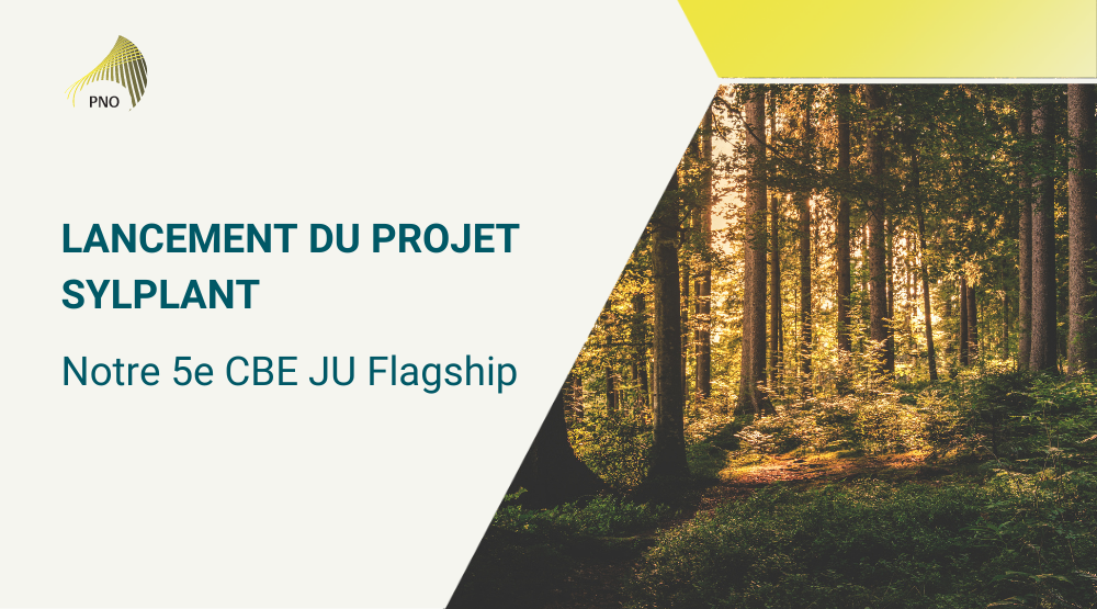 SYLPLANT notre 5e CBE JU Flagship