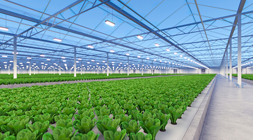 Subsidie Energie-efficiëntie Glastuinbouw