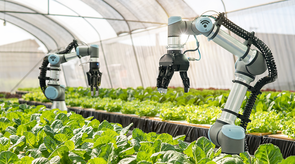 Farming Innovation Programme