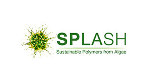 Splash logo
