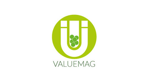 VALUEMAG logo